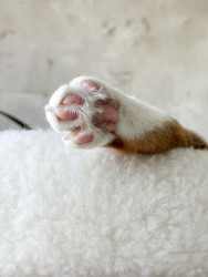 Similar image 22202320