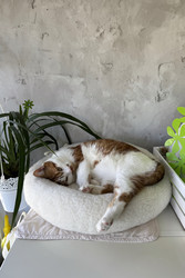 Similar image 22202321