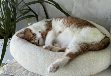 Similar image 22202322