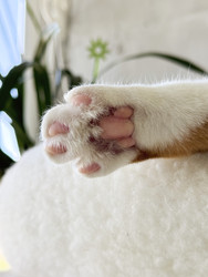 Similar image 22202323