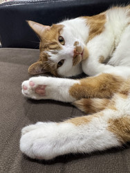 Similar image 22202324