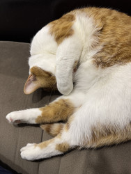 Similar image 22202325