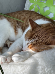 Similar image 22202326