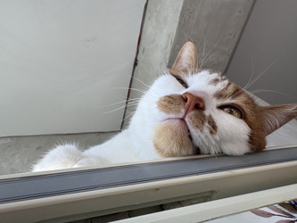 Similar image 22202327