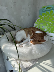 Similar image 22202328