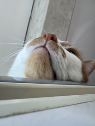 Similar image 22202329