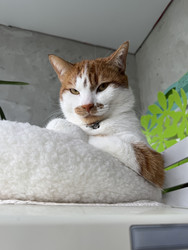 Similar image 22202332