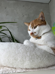 Similar image 22202333