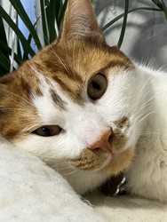 Similar image 22202336