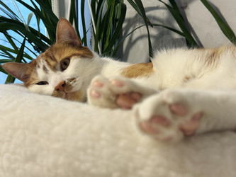 Similar image 22202337