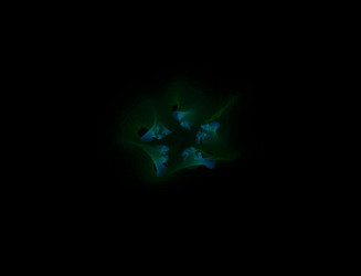 Similar image 22209791