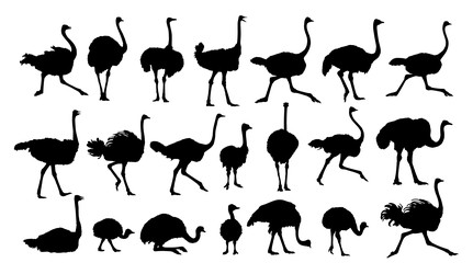 Similar image 22202345