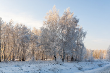 Similar image 22205576