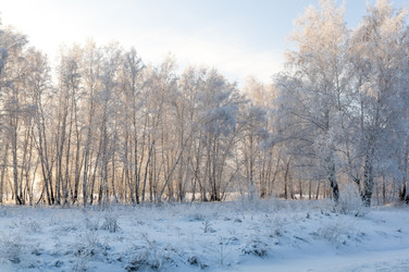 Similar image 22205577