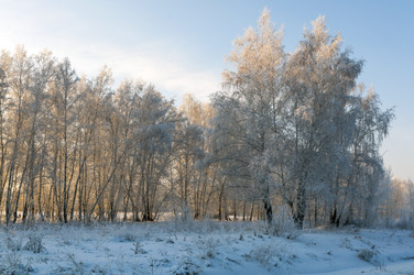 Similar image 22205578