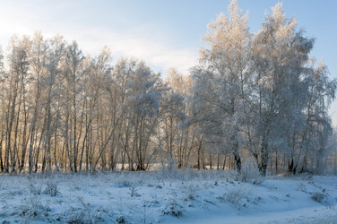 Similar image 22205579