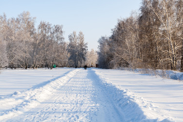 Similar image 22205583