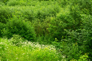 Similar image 22203064