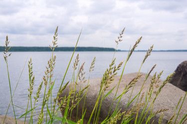 Similar image 22203065