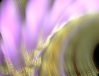 Similar image 22210331