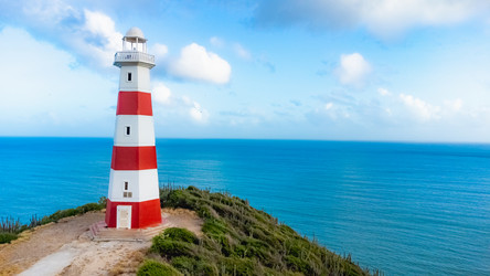 Similar image 22202569