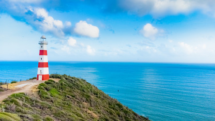 Similar image 22202571