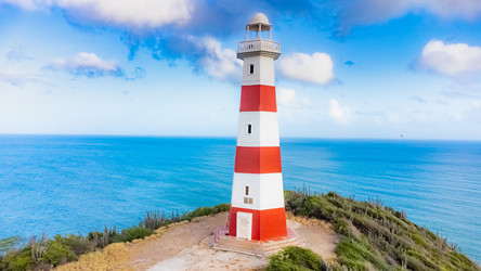 Similar image 22202572