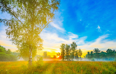 Similar image 22202582