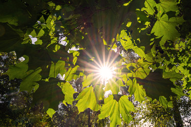 Similar image 22202584