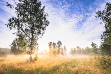 Similar image 22202585