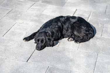 Similar image 22202592