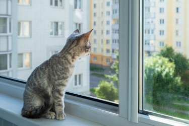 Similar image 22203203