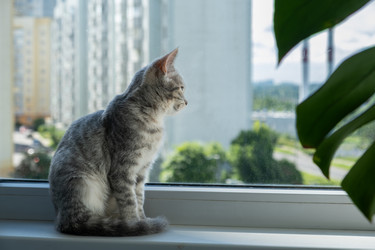 Similar image 22203204