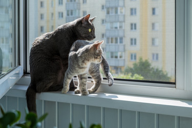 Similar image 22203205