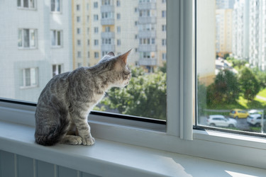 Similar image 22203206