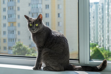 Similar image 22203208