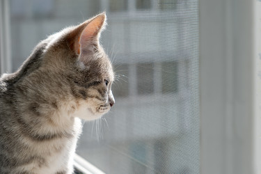 Similar image 22203222