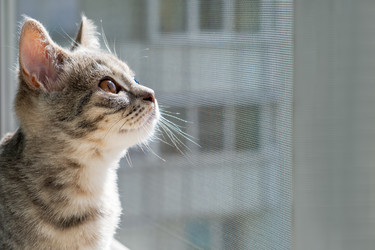 Similar image 22203224