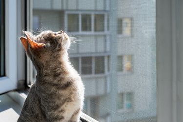 Similar image 22203225