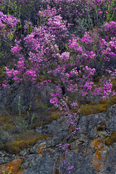 Similar image 22204508