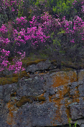 Similar image 22204509