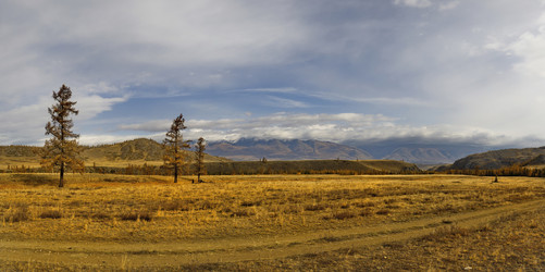 Similar image 22202993