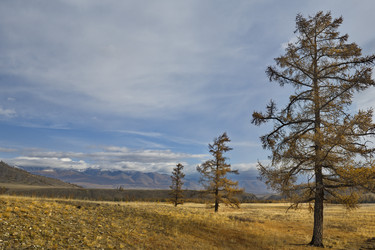 Similar image 22202994