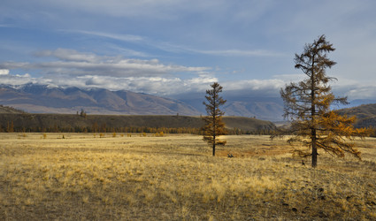 Similar image 22202995