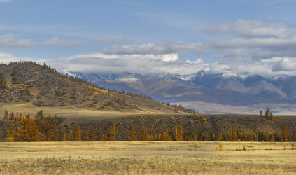 Similar image 22202996