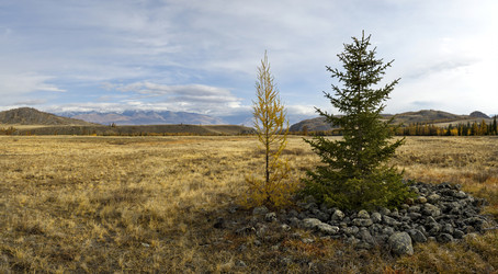 Similar image 22202998