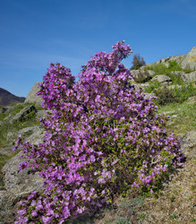 Similar image 22203284