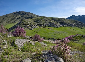 Similar image 22203285