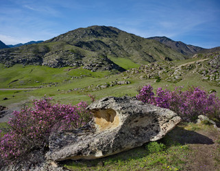 Similar image 22203434