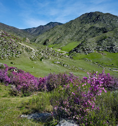 Similar image 22203436